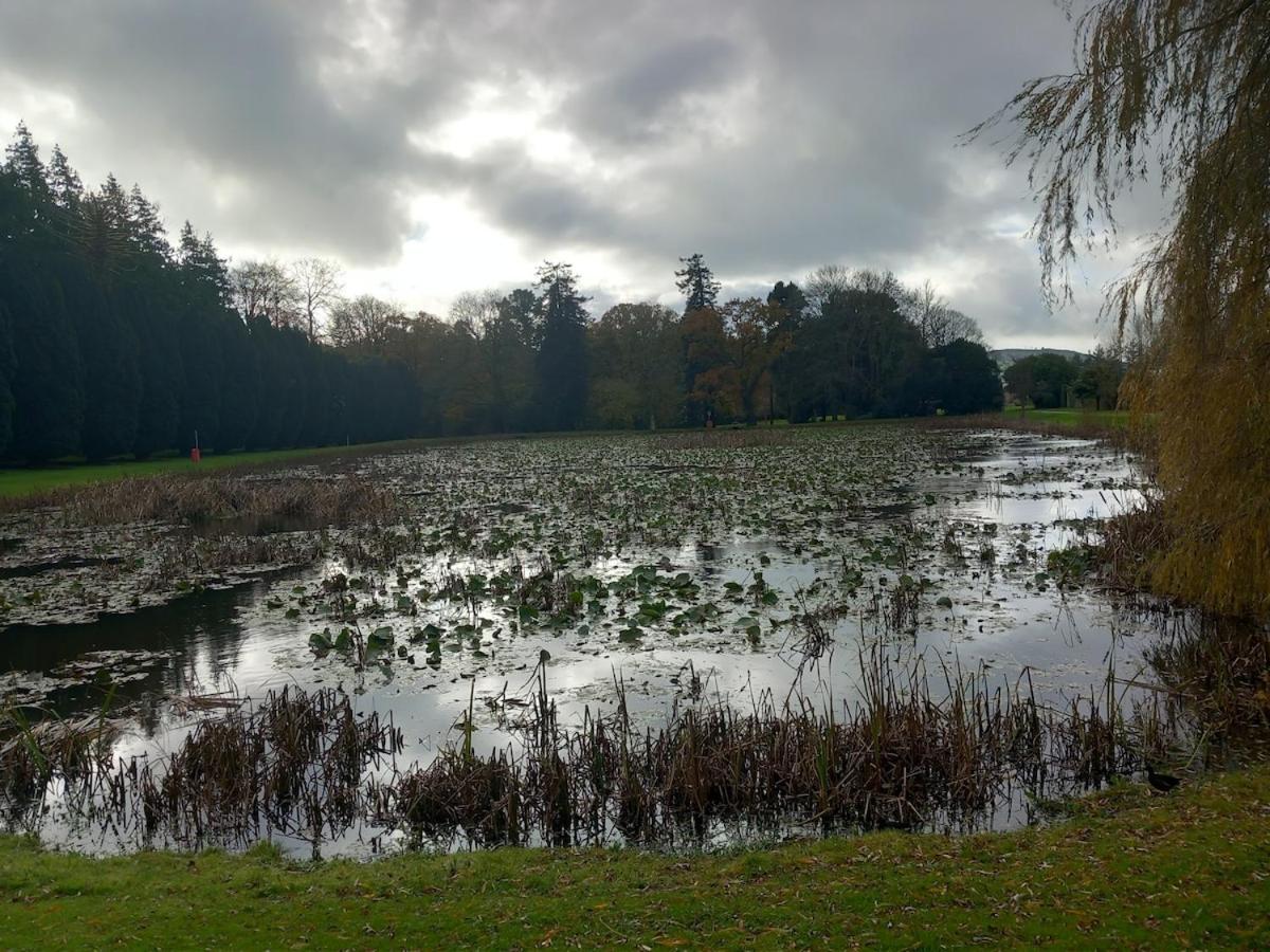 Grove View log house