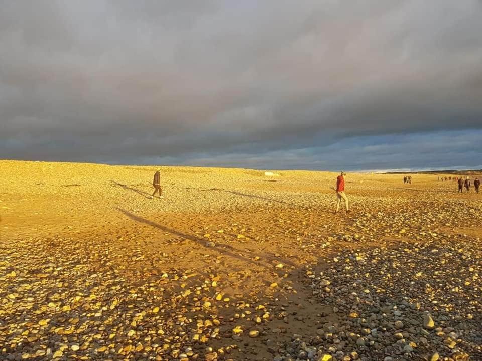 Grove View log house