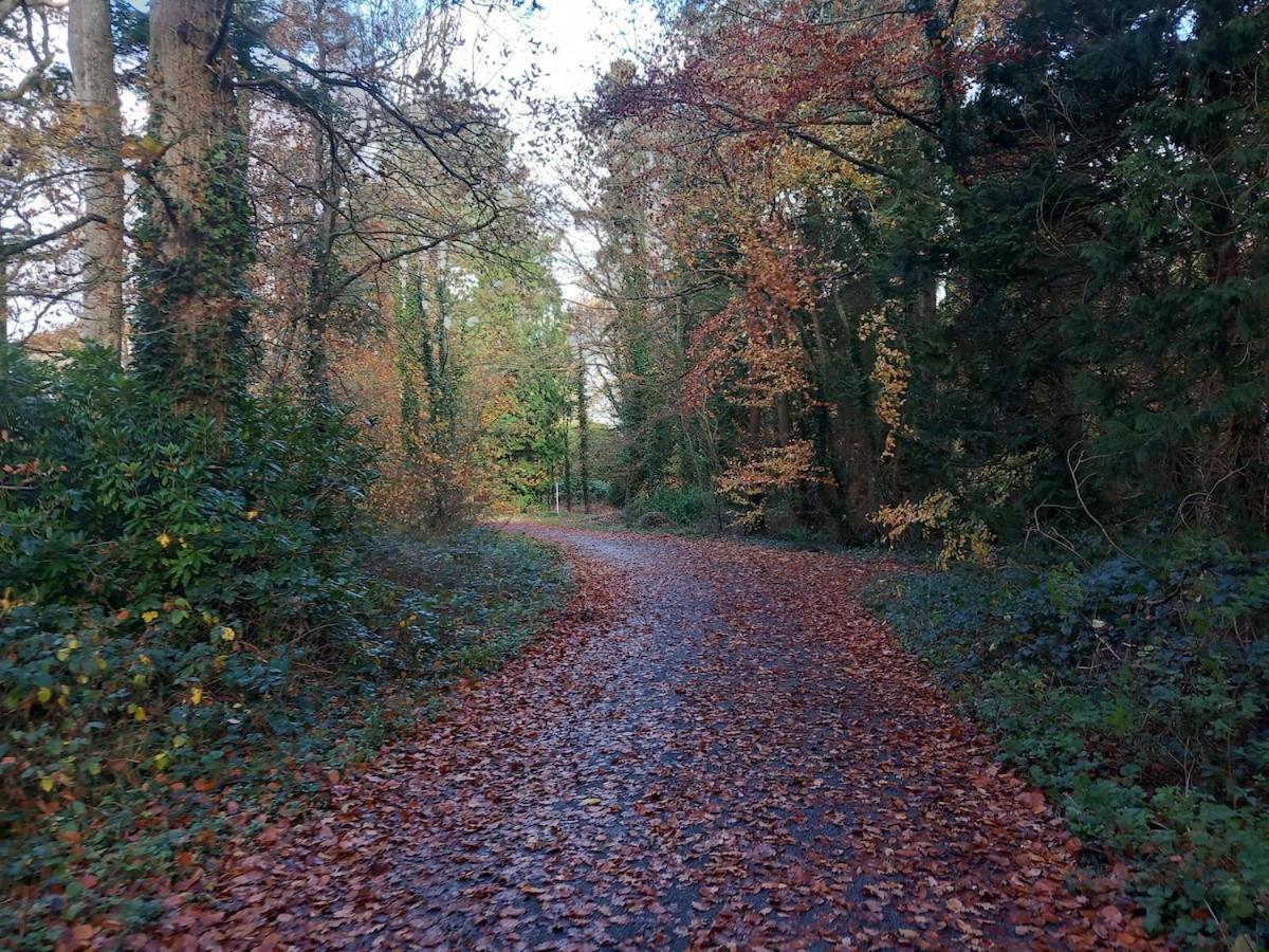 Grove View log house