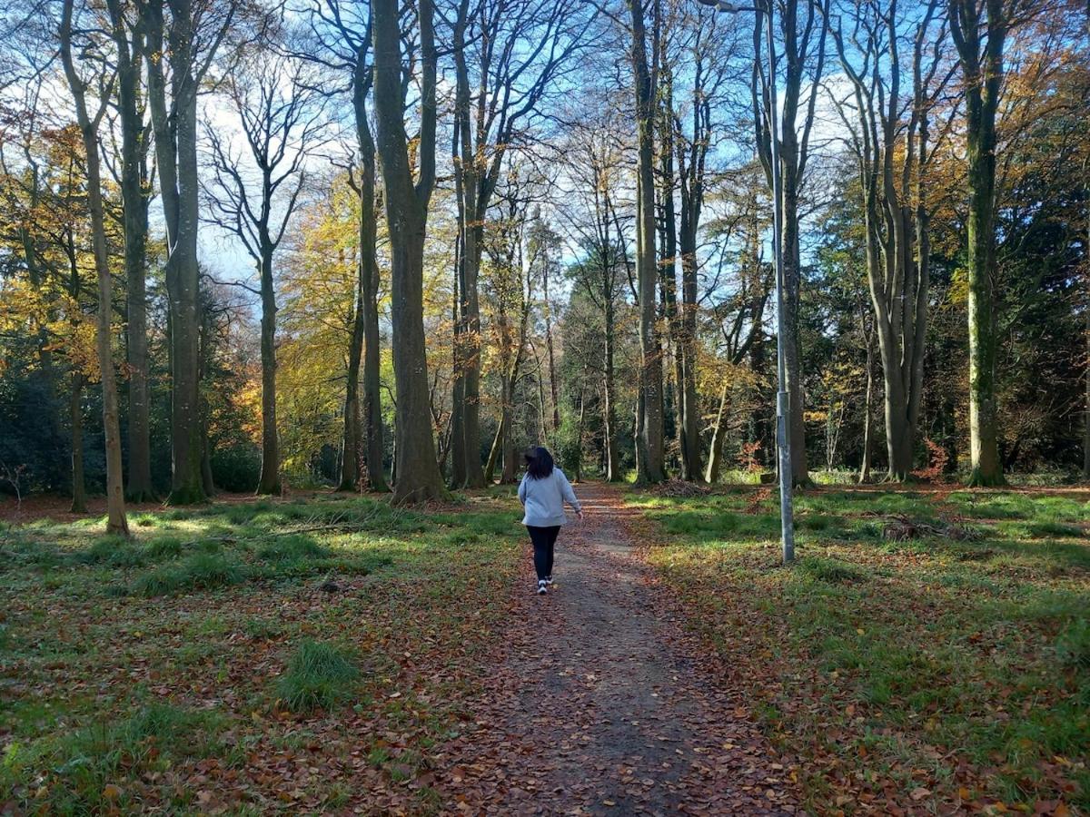 Grove View log house