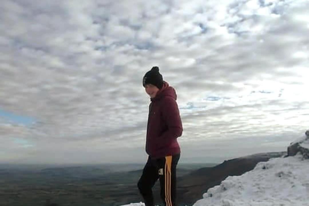 Grove View log house