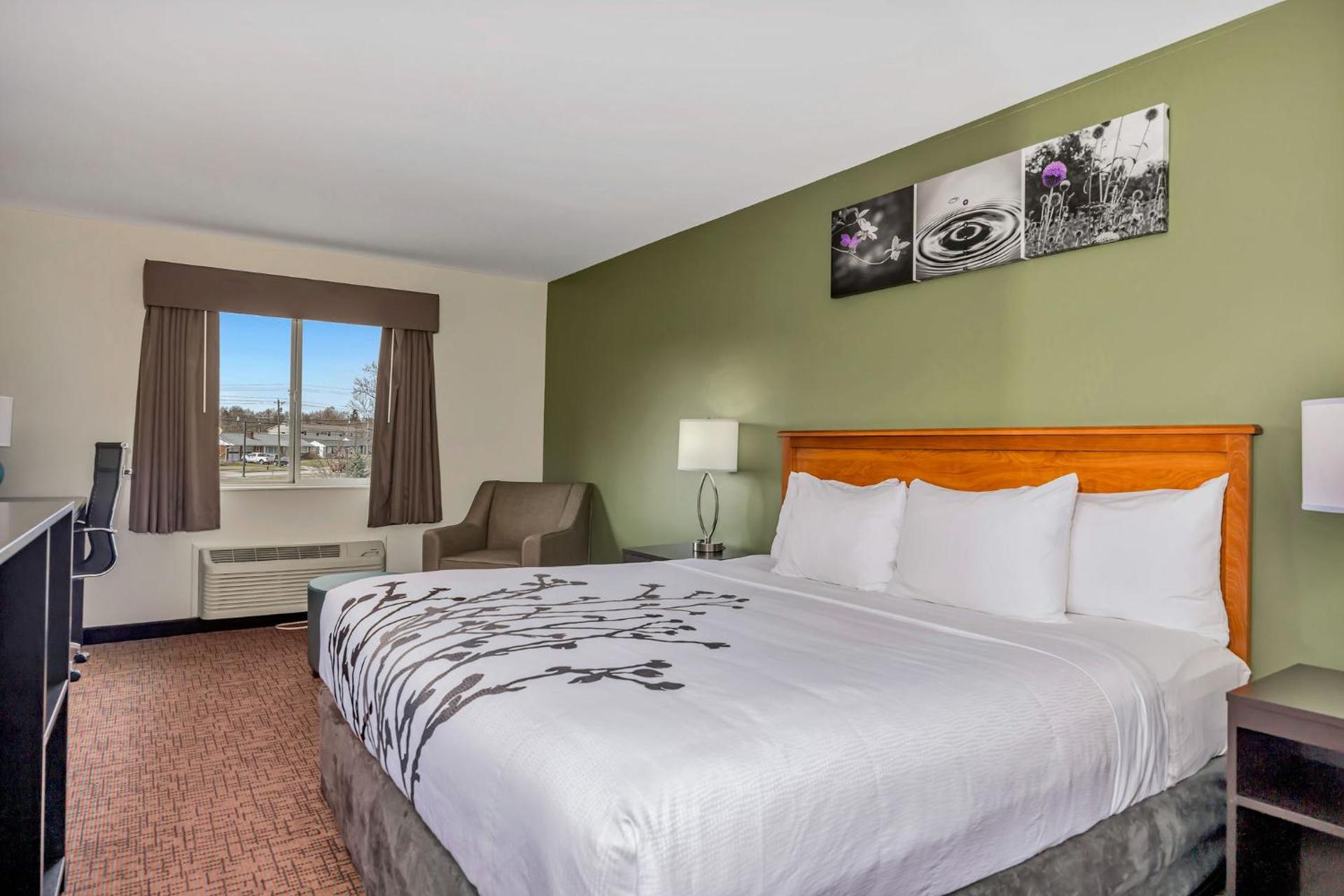 Queen Room - Disability Access - Non-Smoking