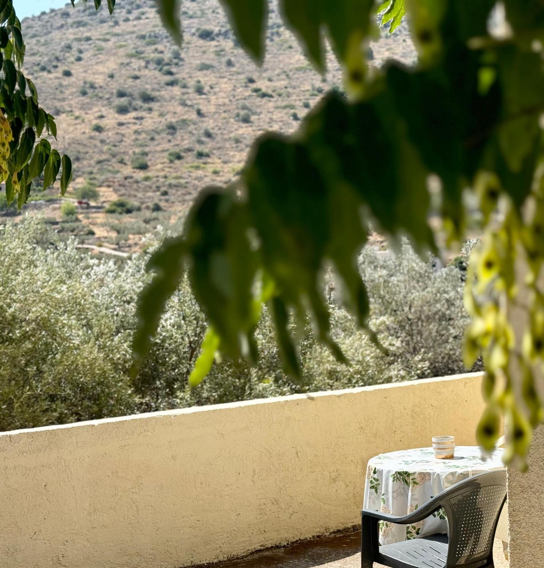 Kontos Village House