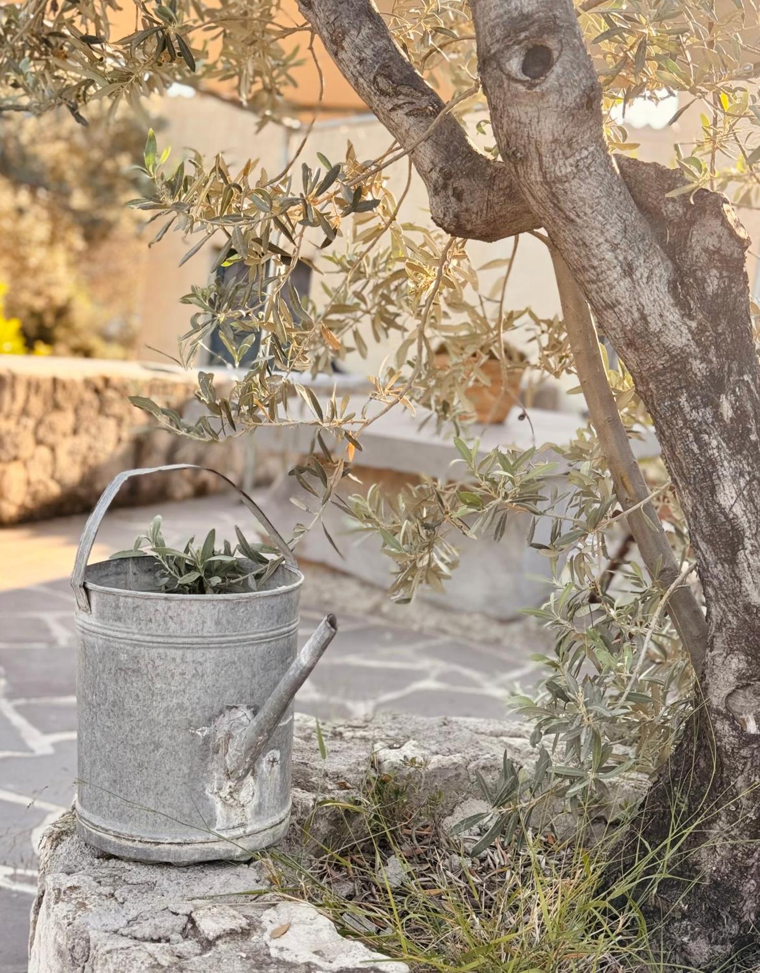 Kontos Village House