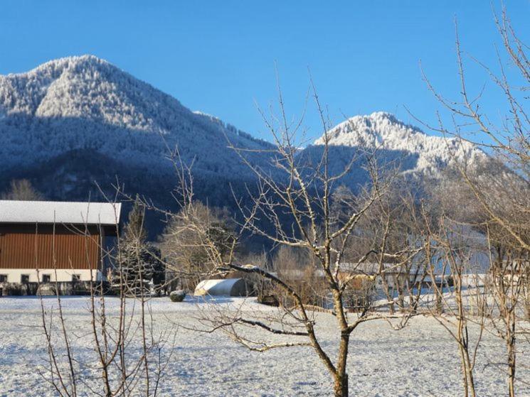 Ferienwohnung Valentina inkl. Chiemgaukarte