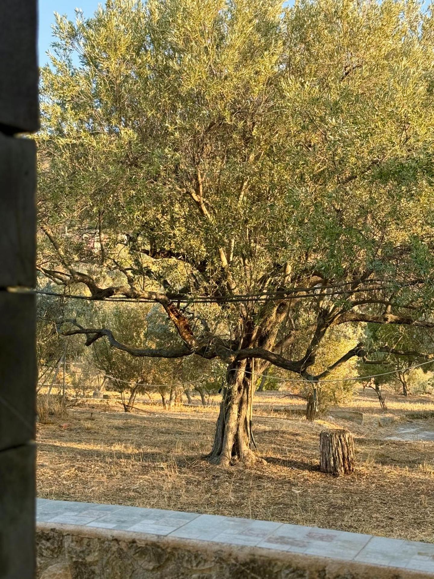 Kontos Village House