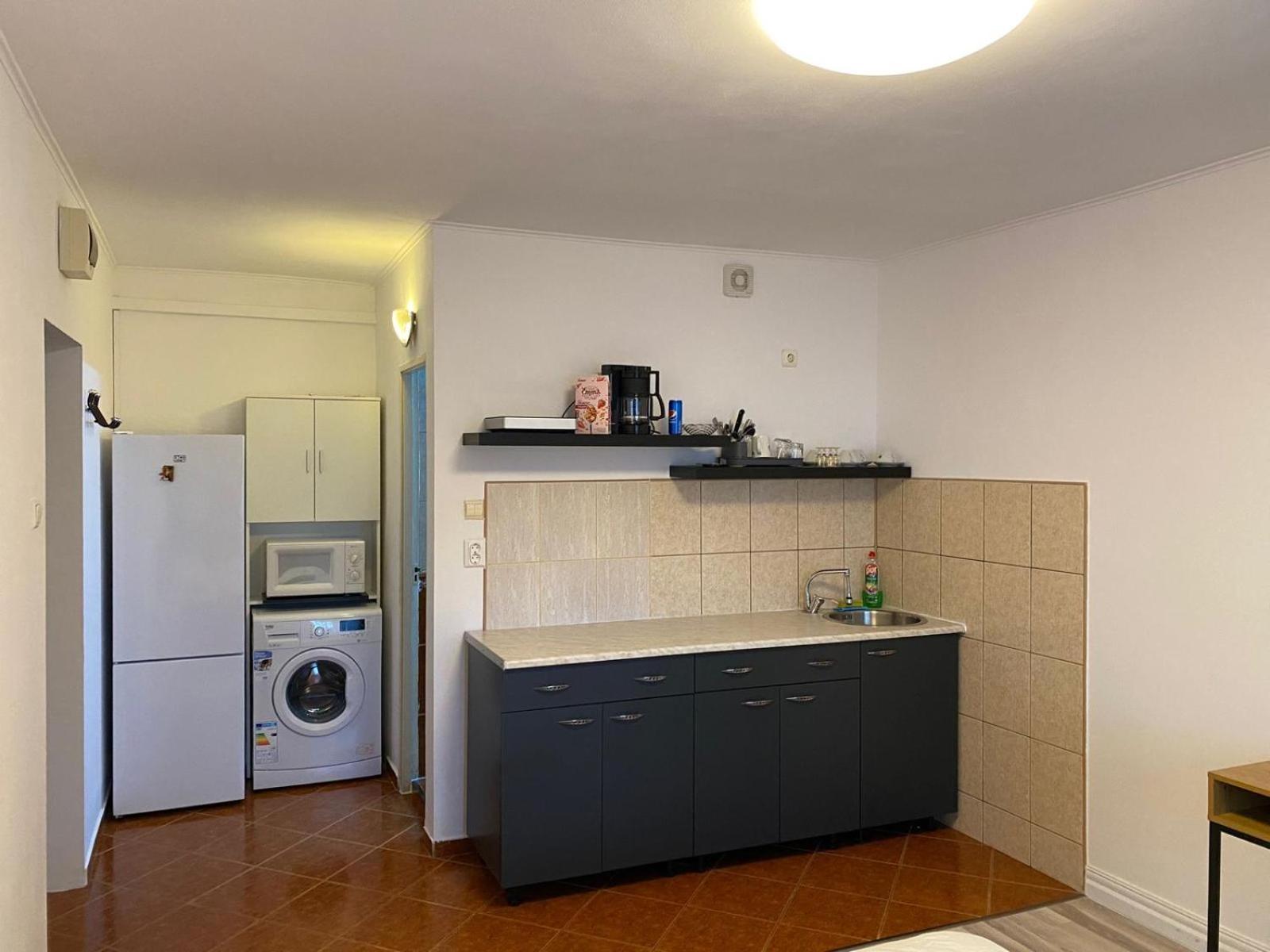 Lions Studio Dristor