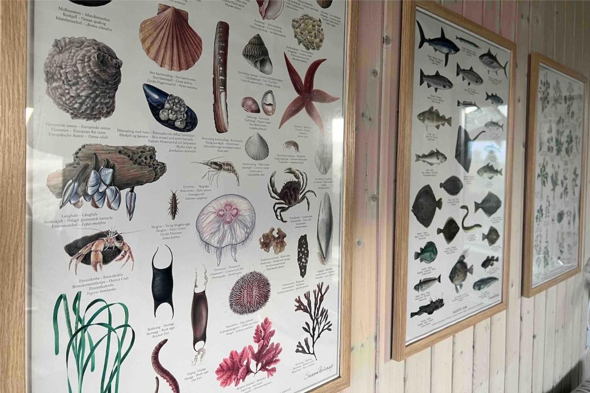 Veludstyret sommerhus i unik natur 350 m fra lækker badestrand - helårsbolig