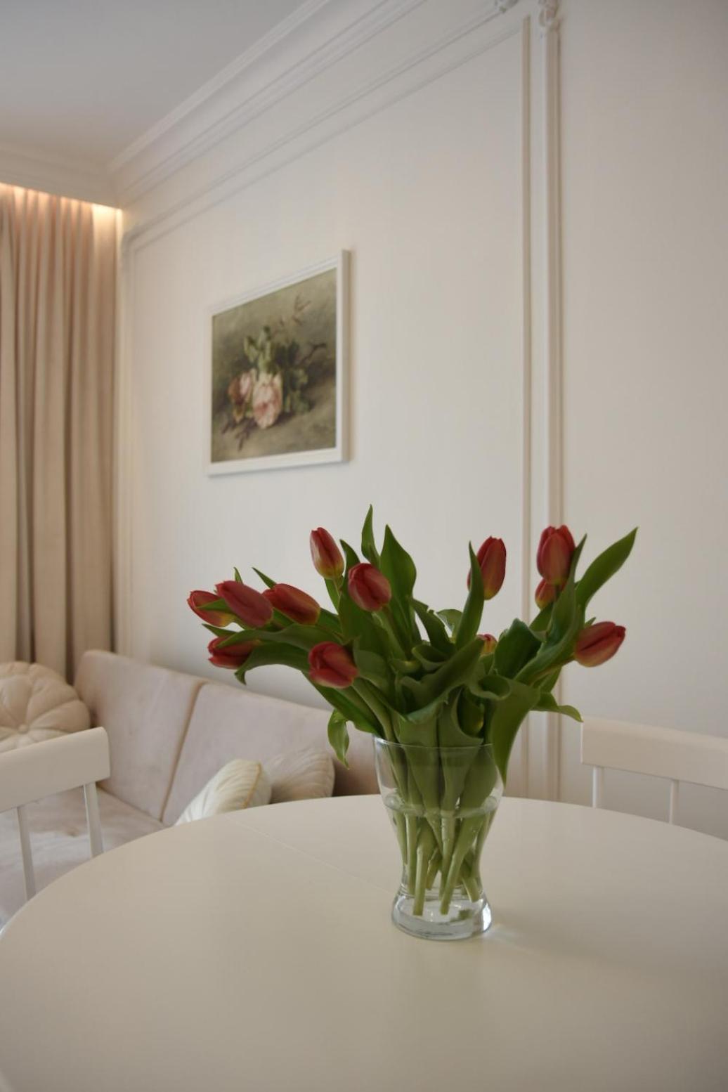 Apartament w centrum miasta- Central Park