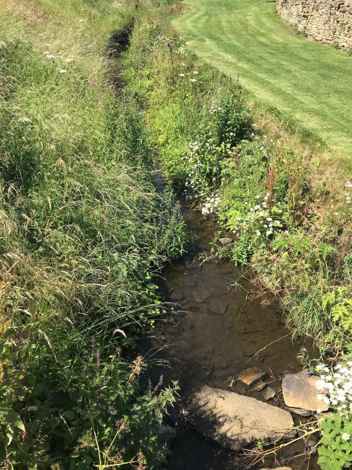 Wend Gardens Studio Carleton Skipton Pet Friendly