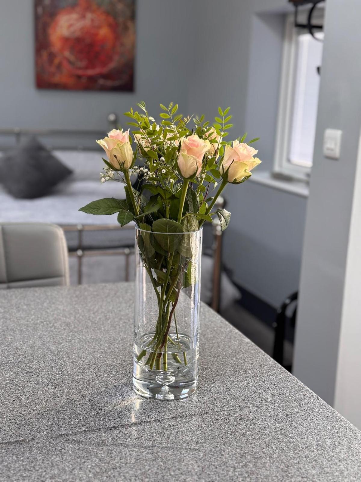 Wend Gardens Studio Carleton Skipton Pet Friendly