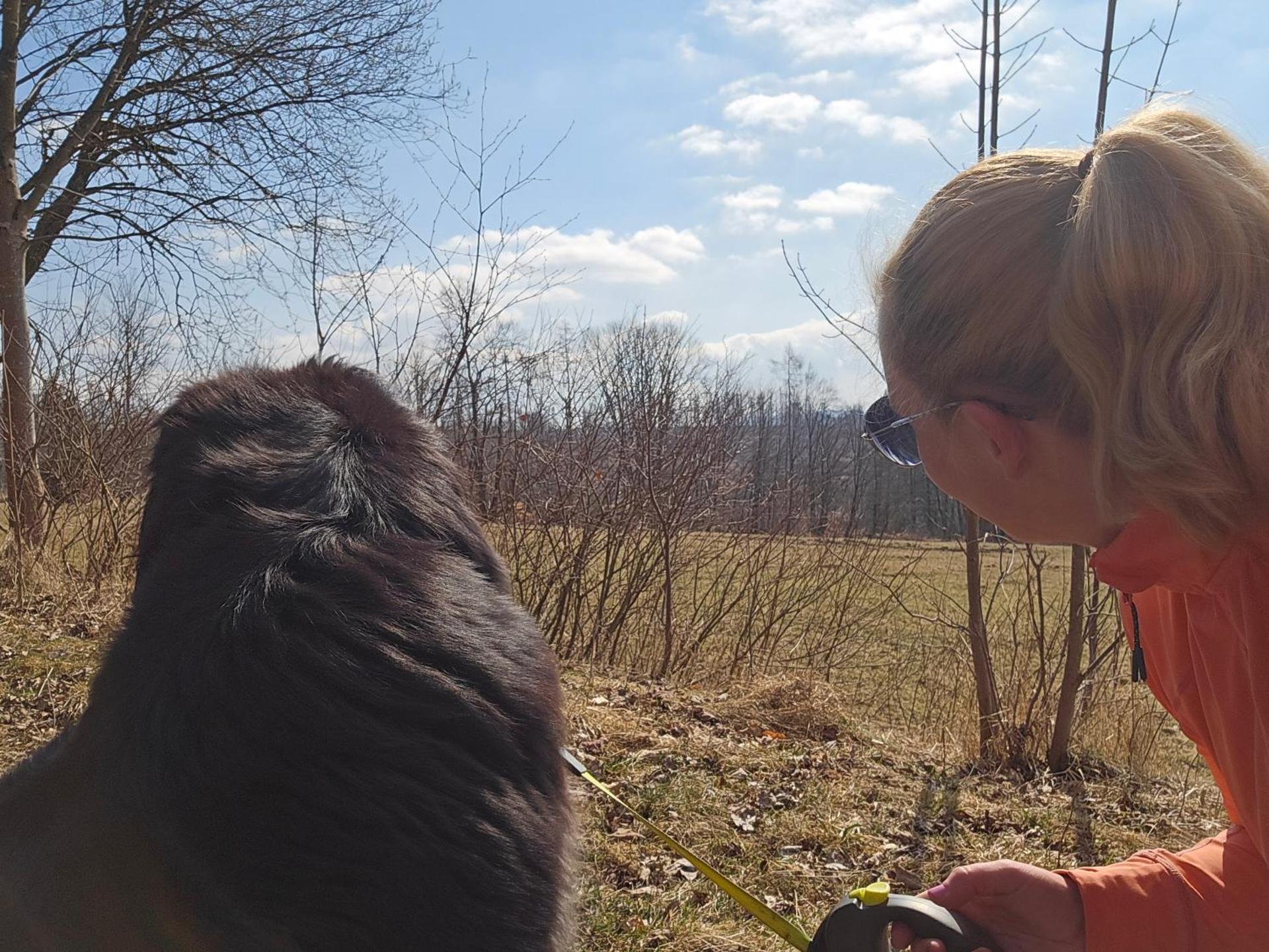 Pension Haus am Wald