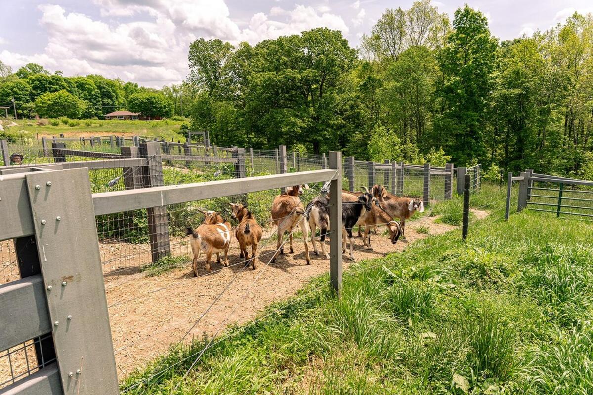 Historic Converted Barn Loft at Sobremesa Farm