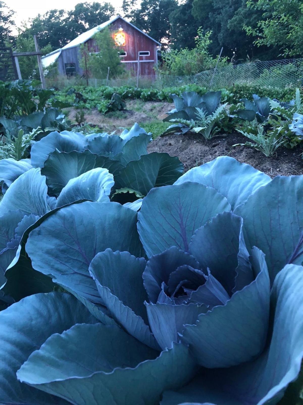 Historic Converted Barn Loft at Sobremesa Farm