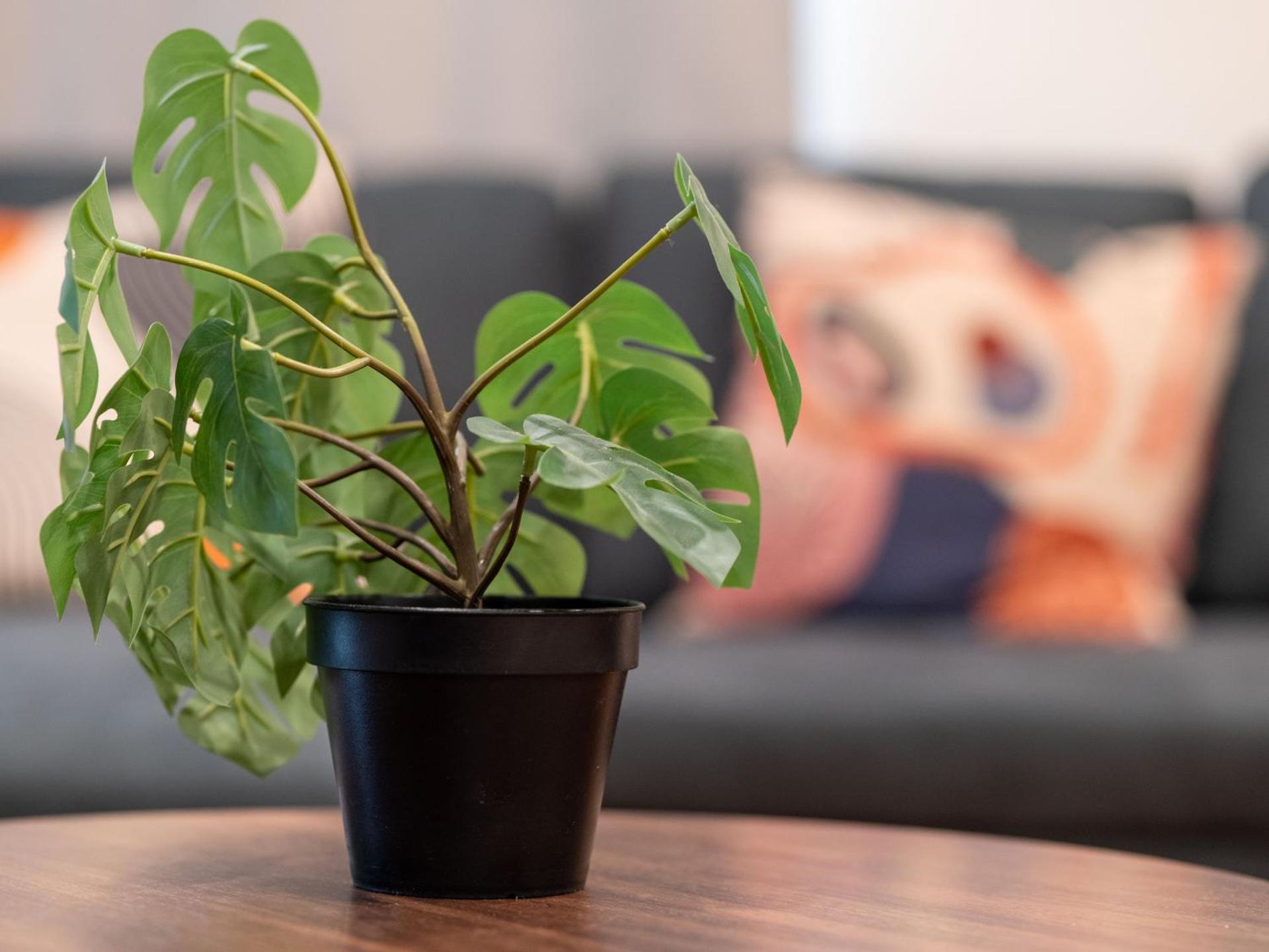 New 4 Apts-198-3 Bed Apt 1st Floor & 3 Bed Apt 2nd Floor - 1 Bed Studio Apt Ground Floor & 1 Bed Studio Apt Ground Floor near Penn Station EWR Newark NJ Airport Hospital Manhattan NYC