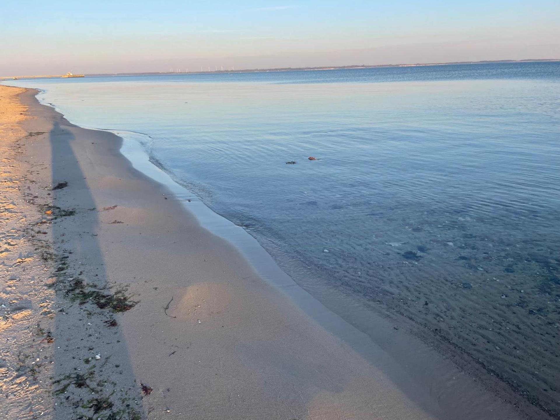Moderne Ferienwohnung in Strandnähe