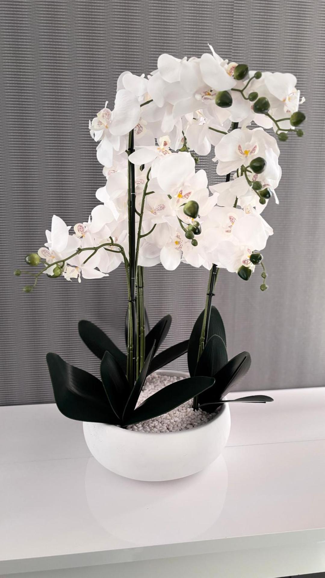 Thermes coconing Amnéville-Metz-Thionville- Luxembourg