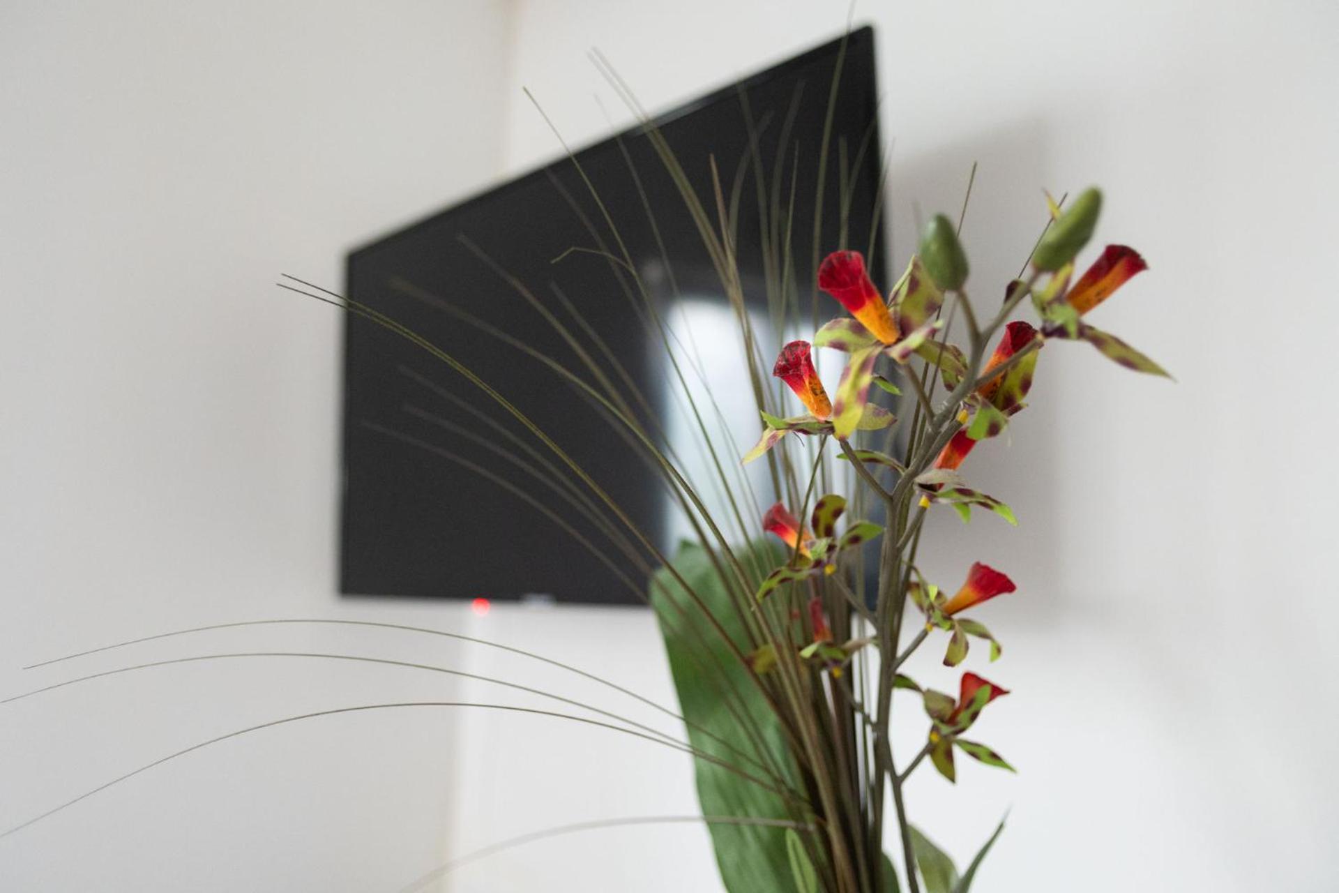 Joli appartement à Montmagny