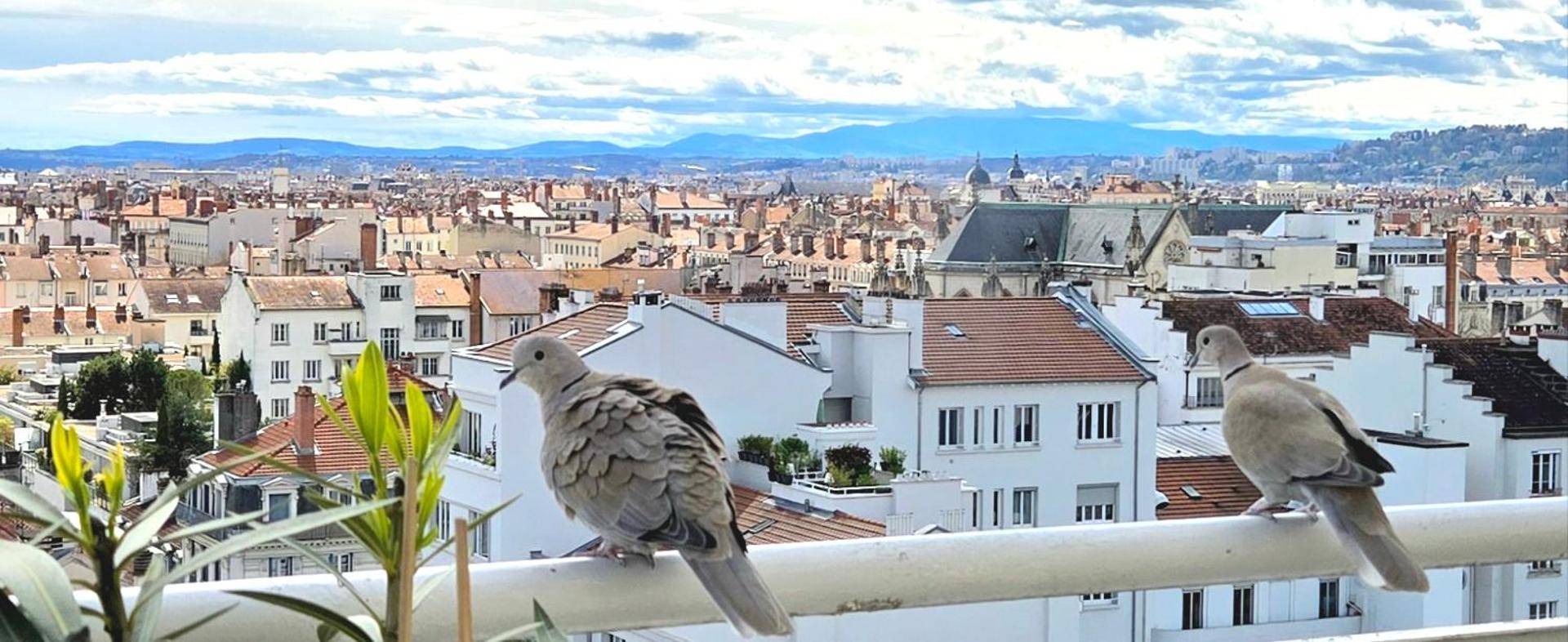 PLEIN SUD Terrasse Garage Netflix Climatisation