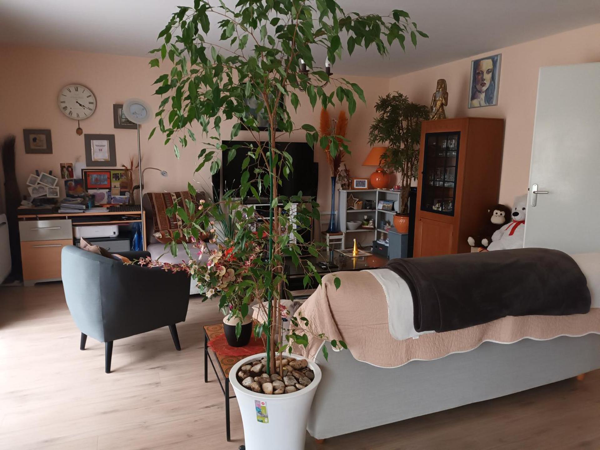 grand appartement en résidence