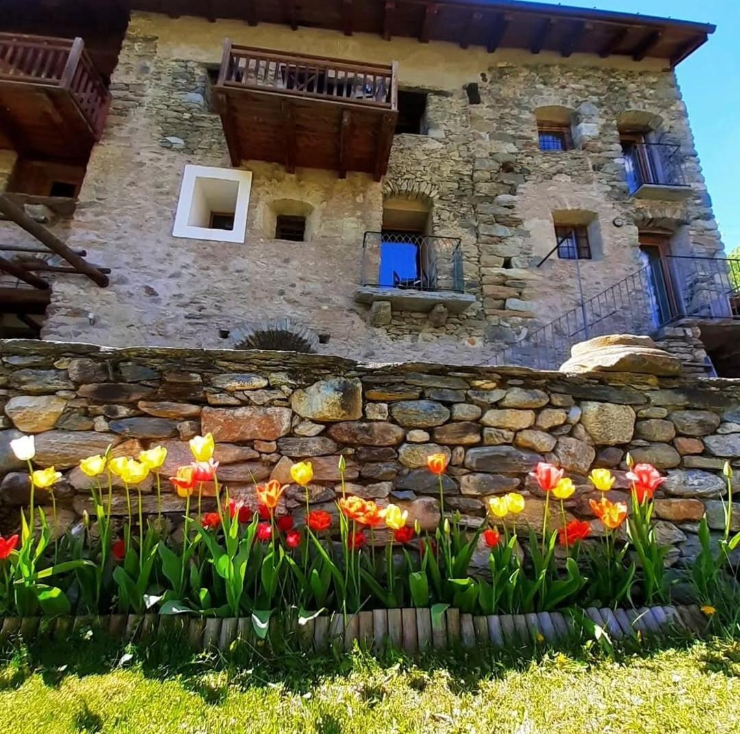 La Fattoria di Roven