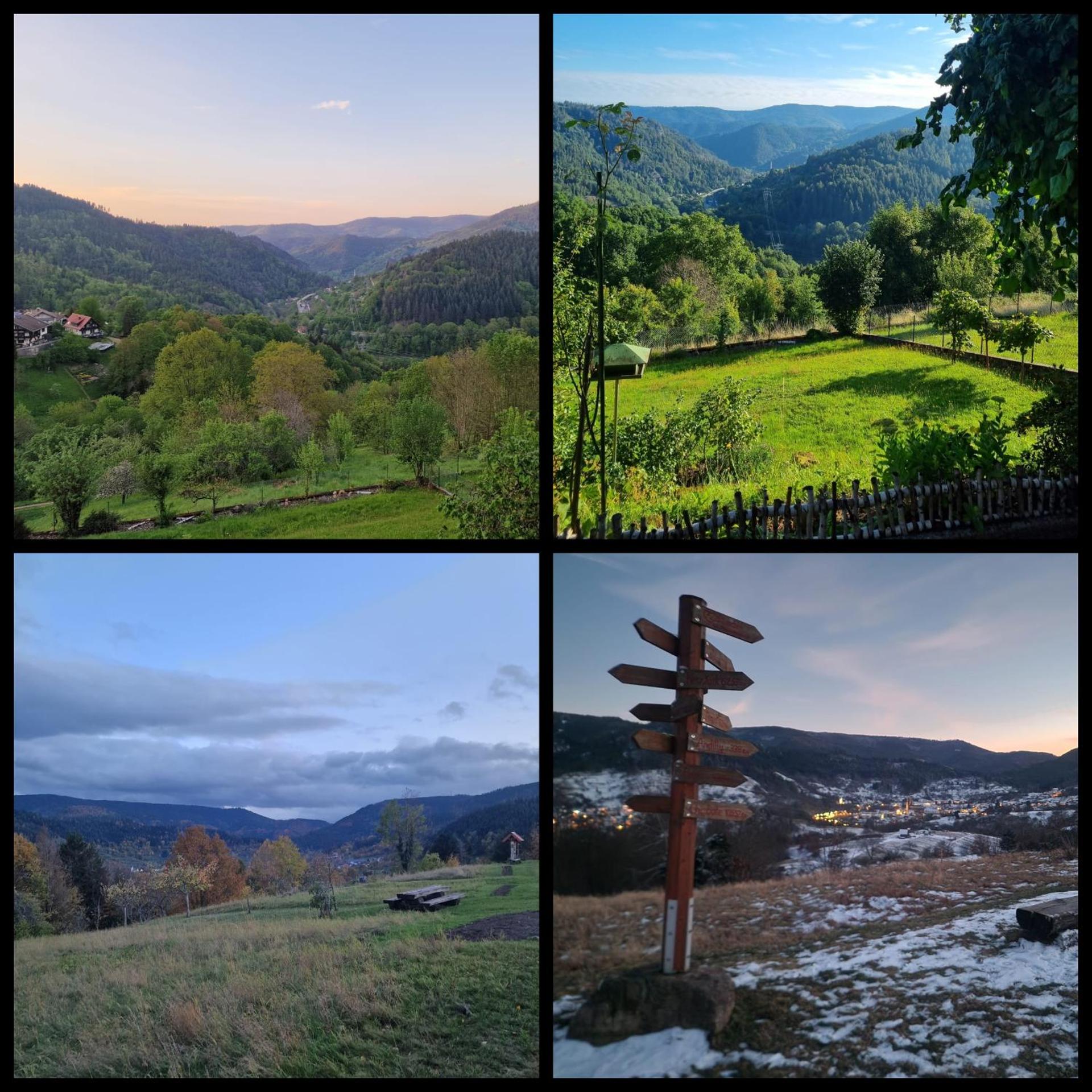 View (from property/room)