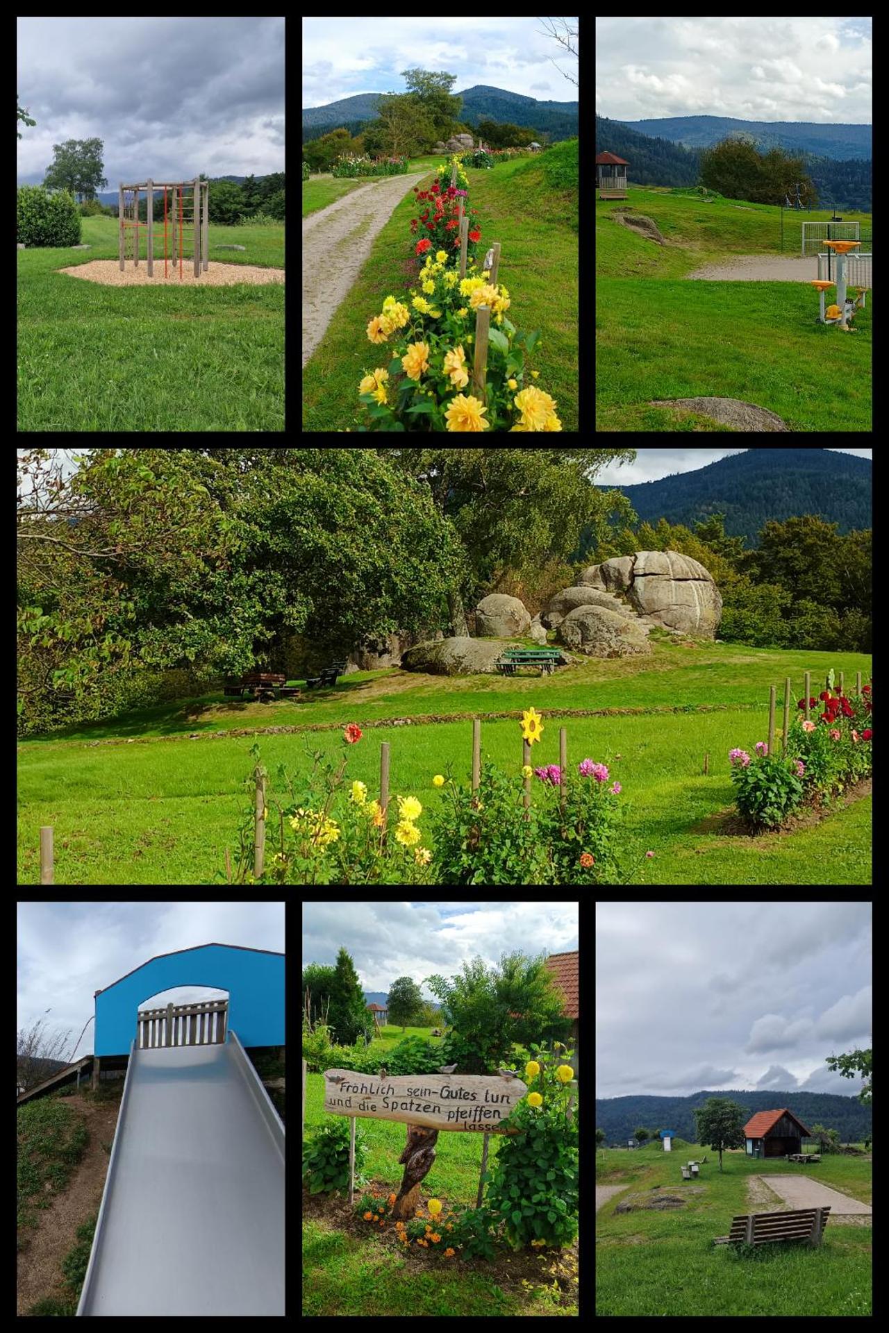 Children play ground