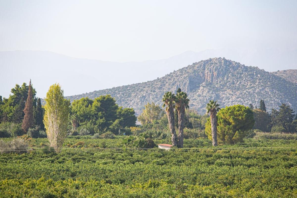 Villa Plaka 16 "The Bordeaux"-Drepano Nafplio