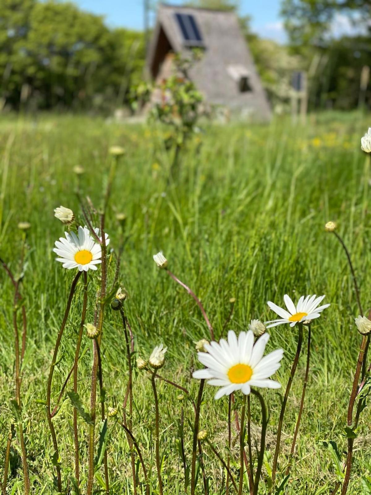 Aframe Tiny Home SILVA with private hot tub