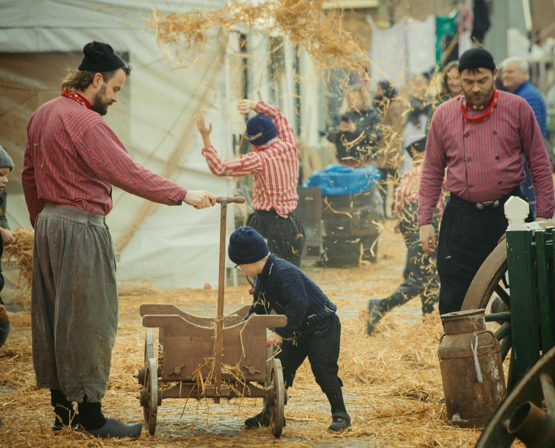 Gastenverblijf de paddestoel