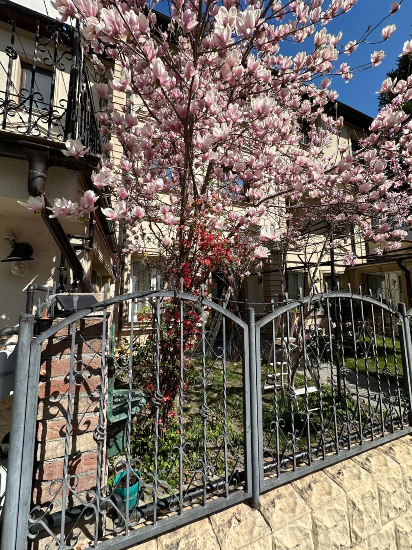 Hotel Boutique Cathedral Plaza Residences room for rent downtown