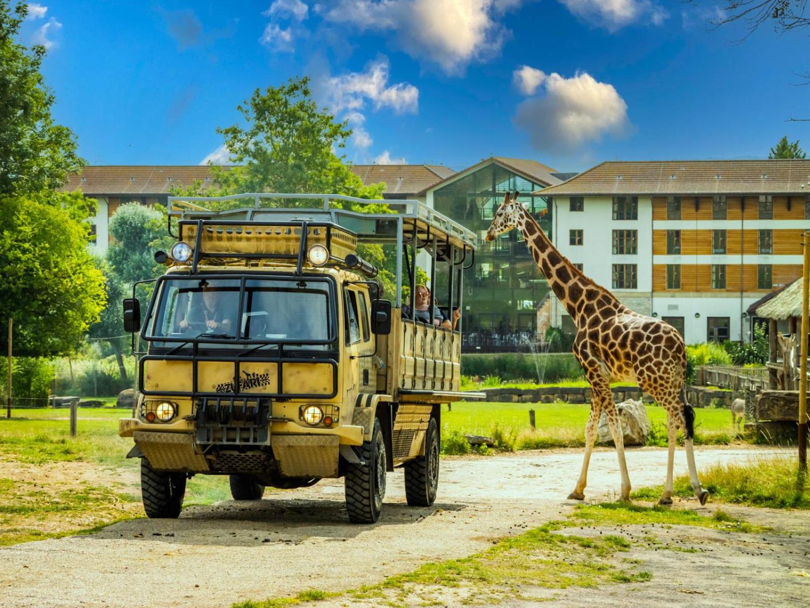 View (from property/room)