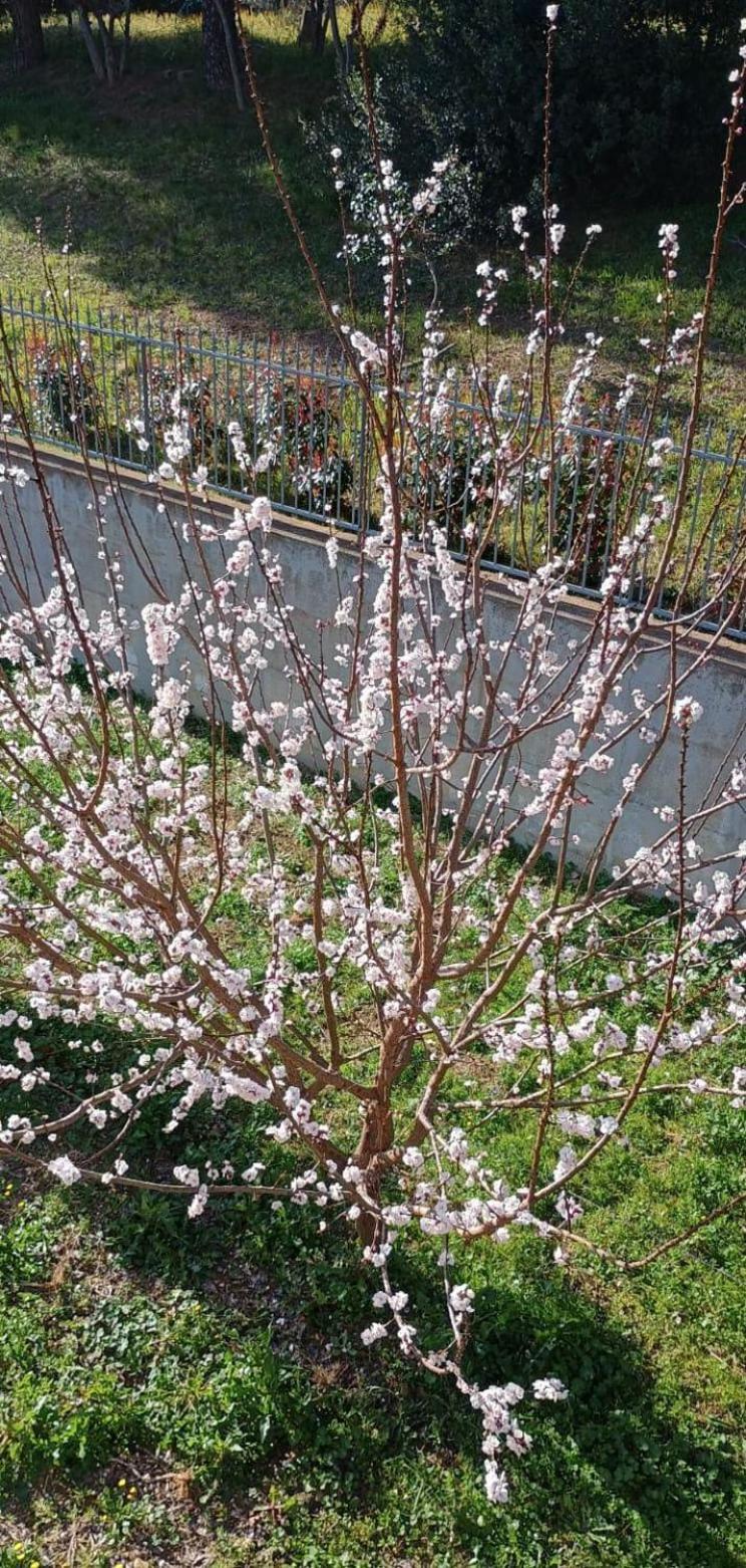 La Fetuseria bistrot & camere