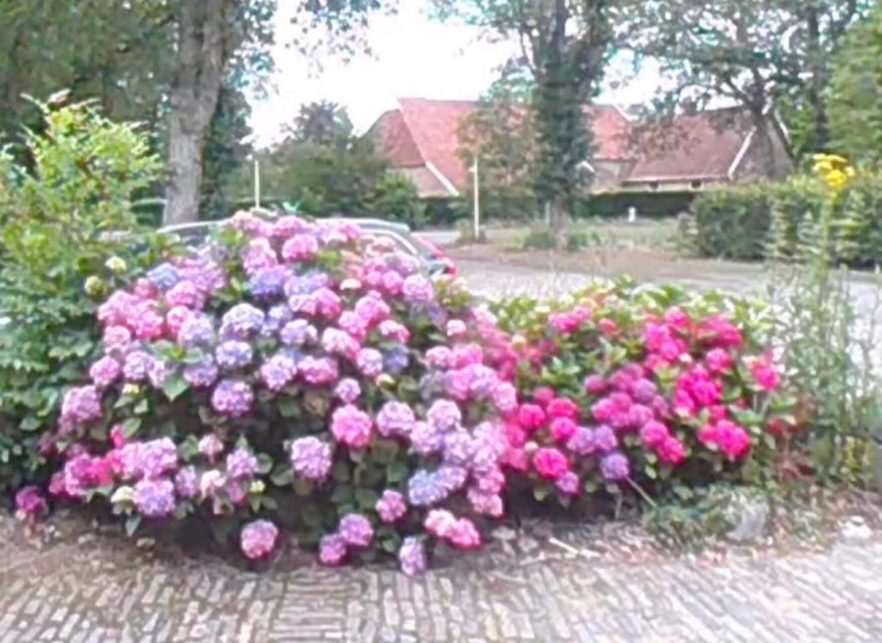 Inner courtyard view