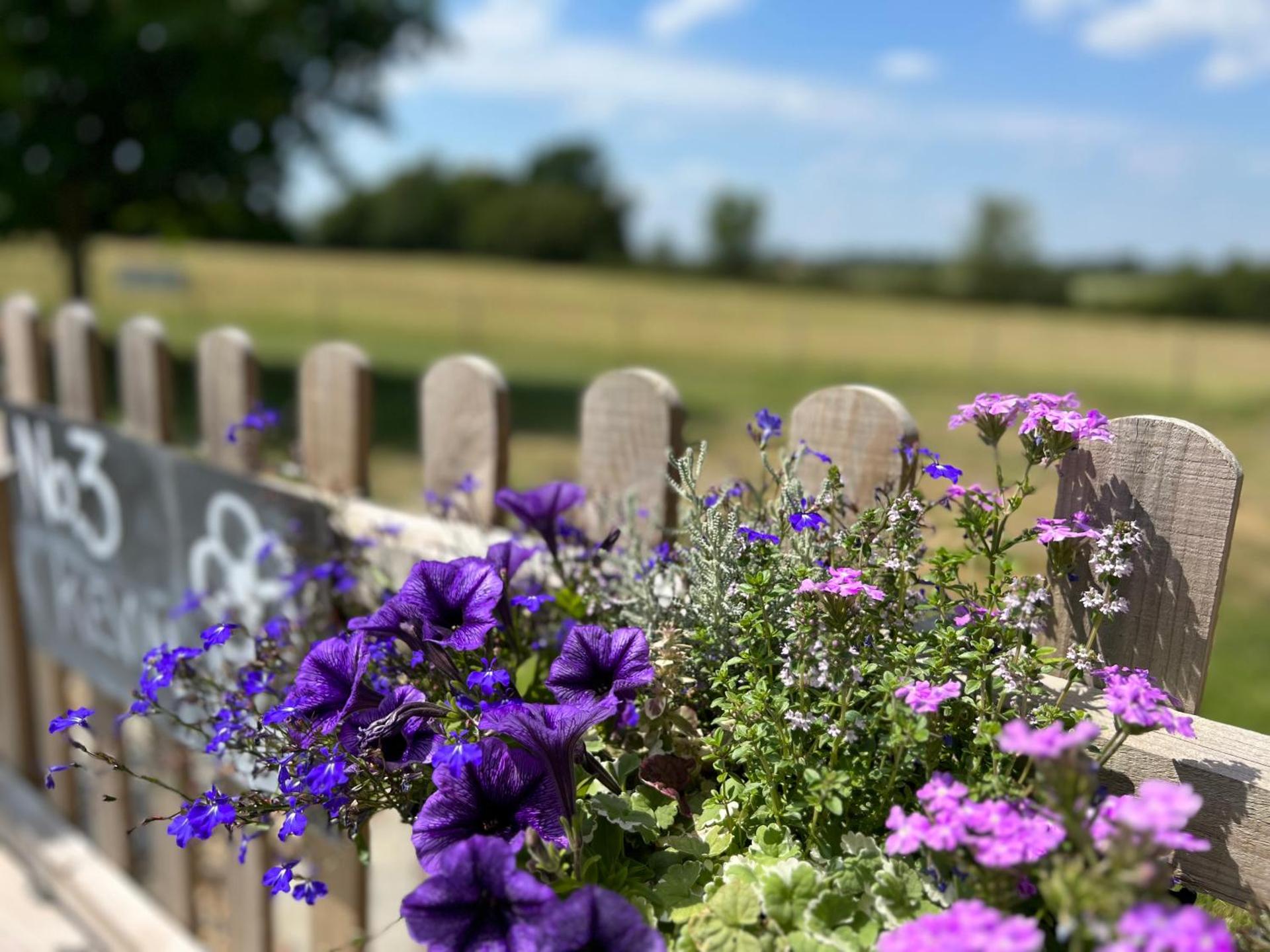 Great Sampford B&B Sorrells farm