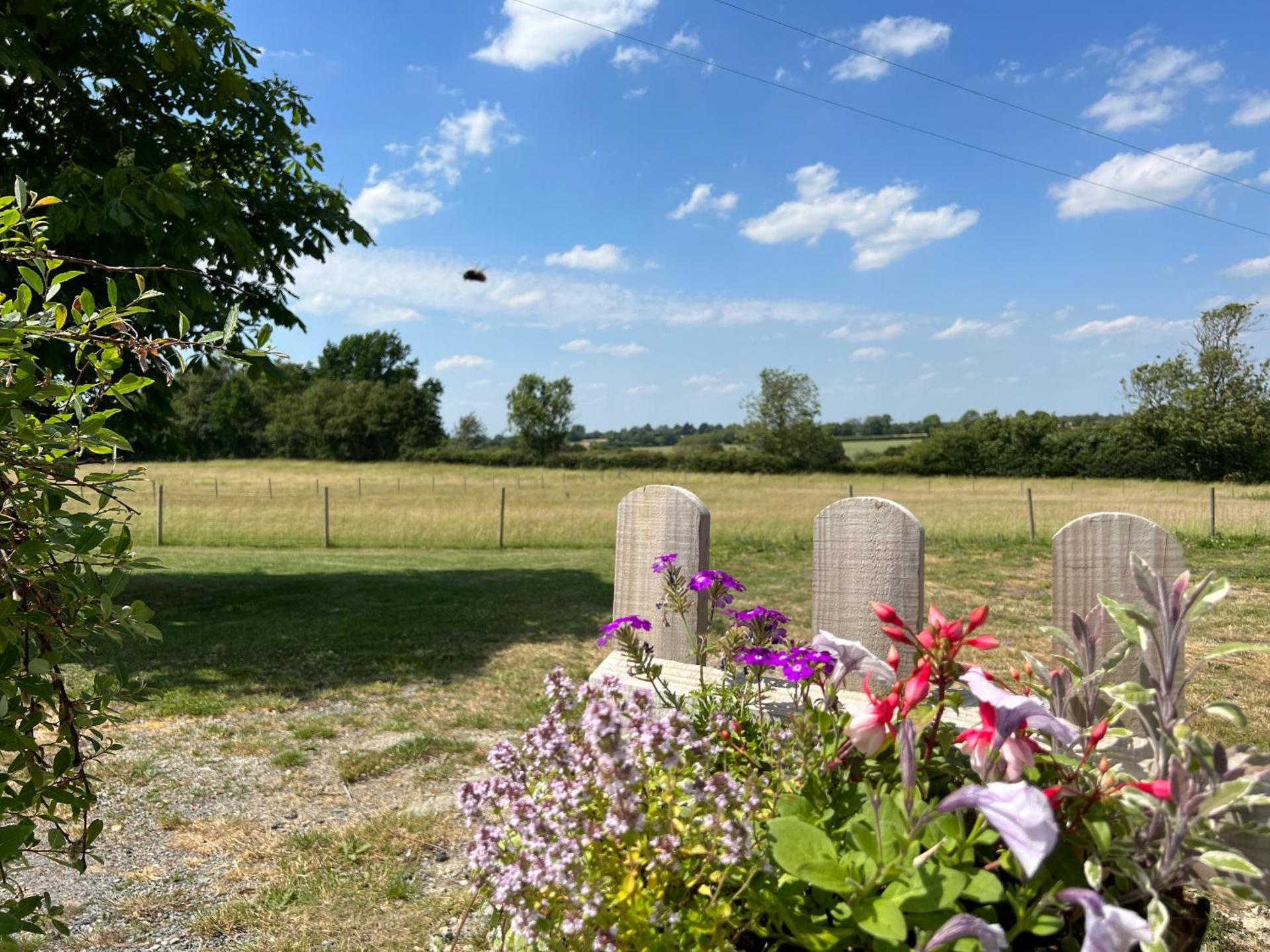 Great Sampford B&B Sorrells farm