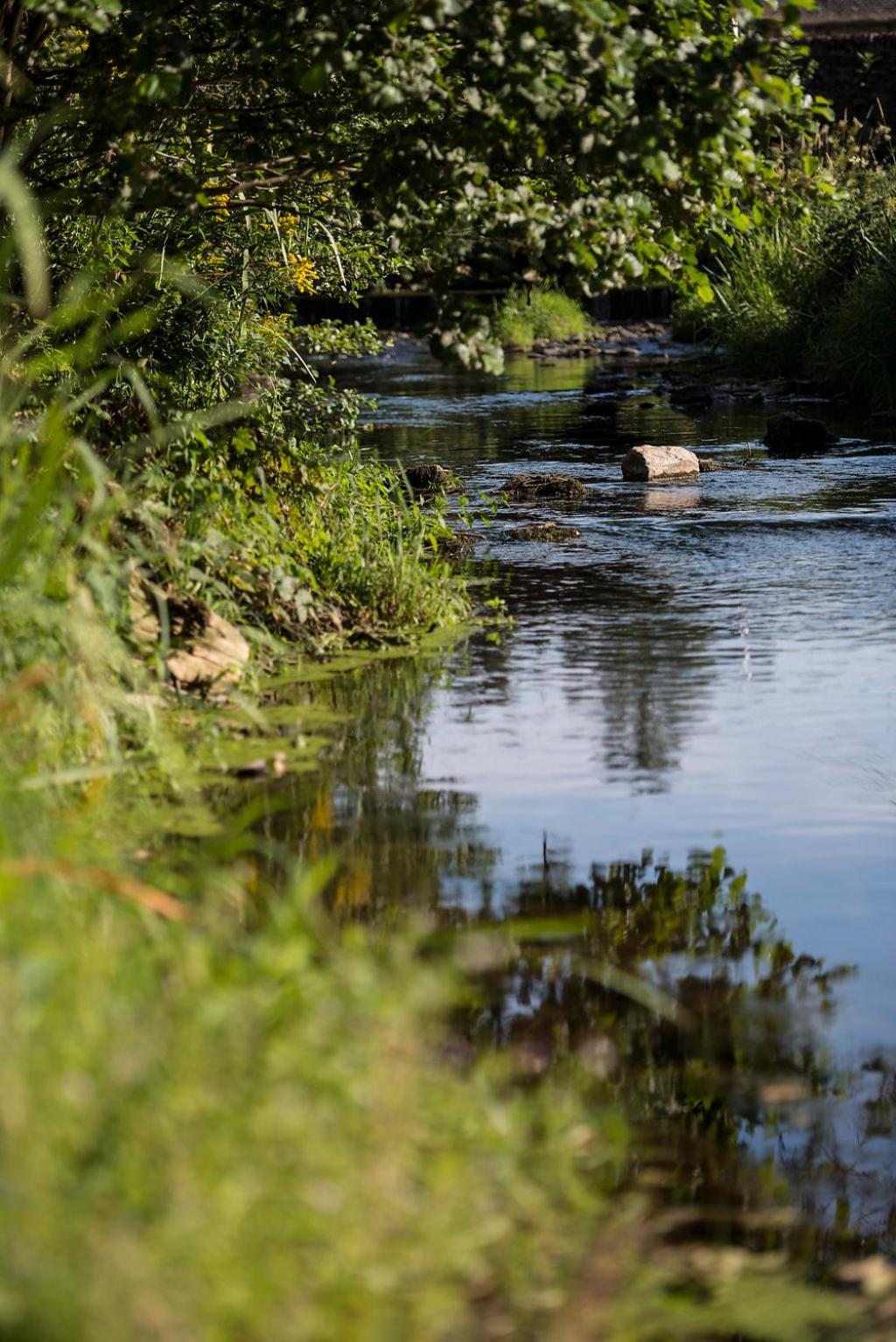 Les Terrasses de l'Our