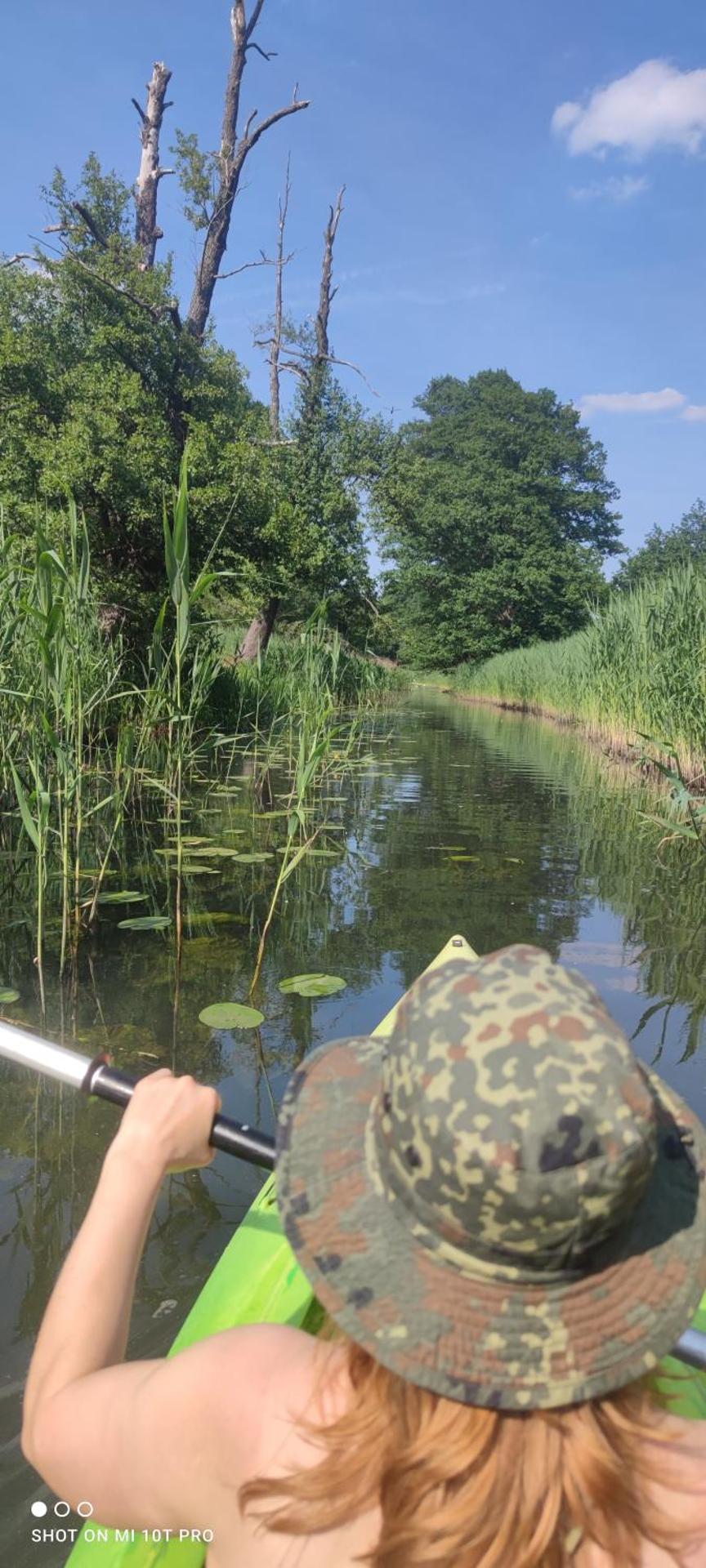 Żurawisko - Domki wśród natury