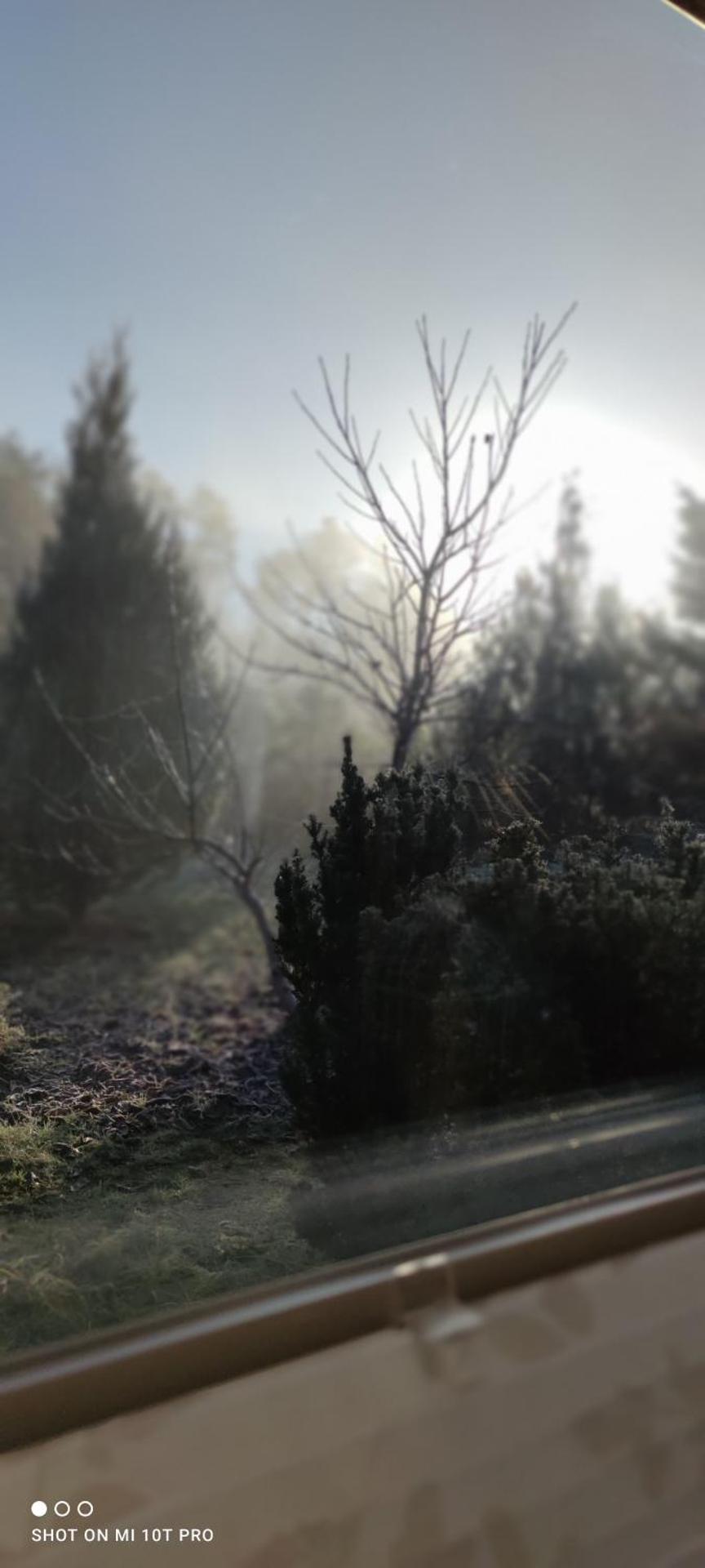 Żurawisko - Domki wśród natury