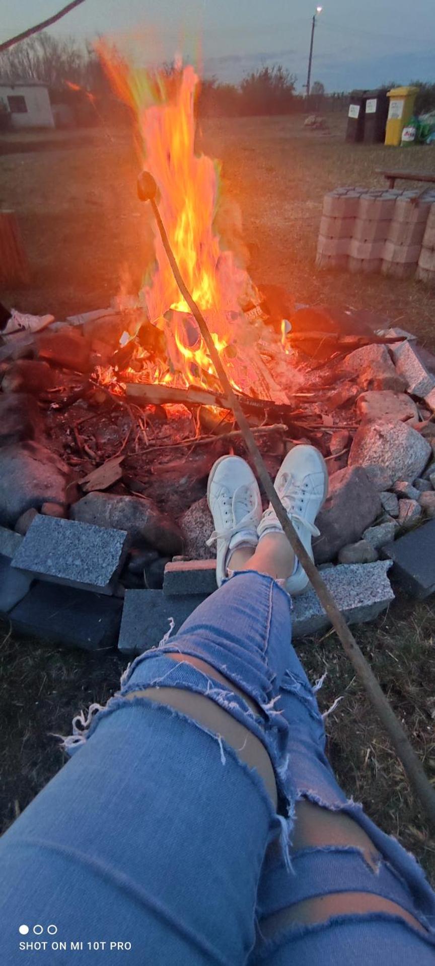 Żurawisko - Domki wśród natury