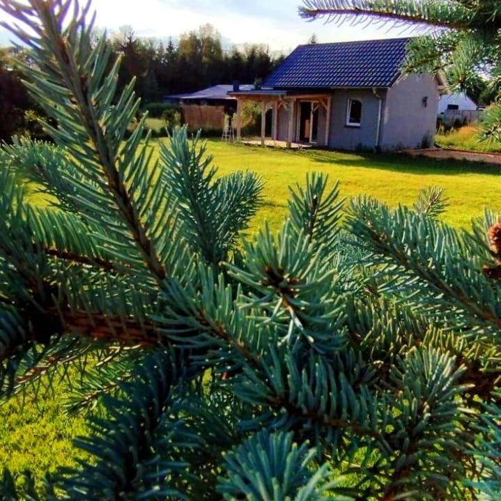 Żurawisko - Domki wśród natury