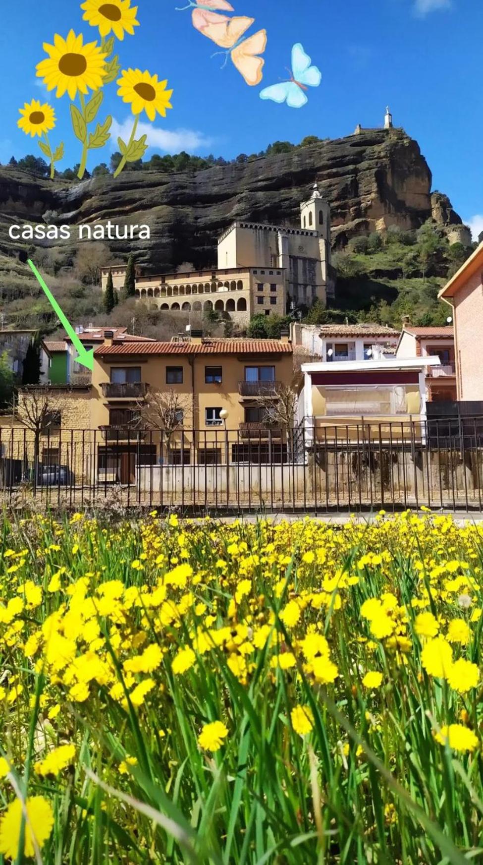 Casas Natura - Centro Graus