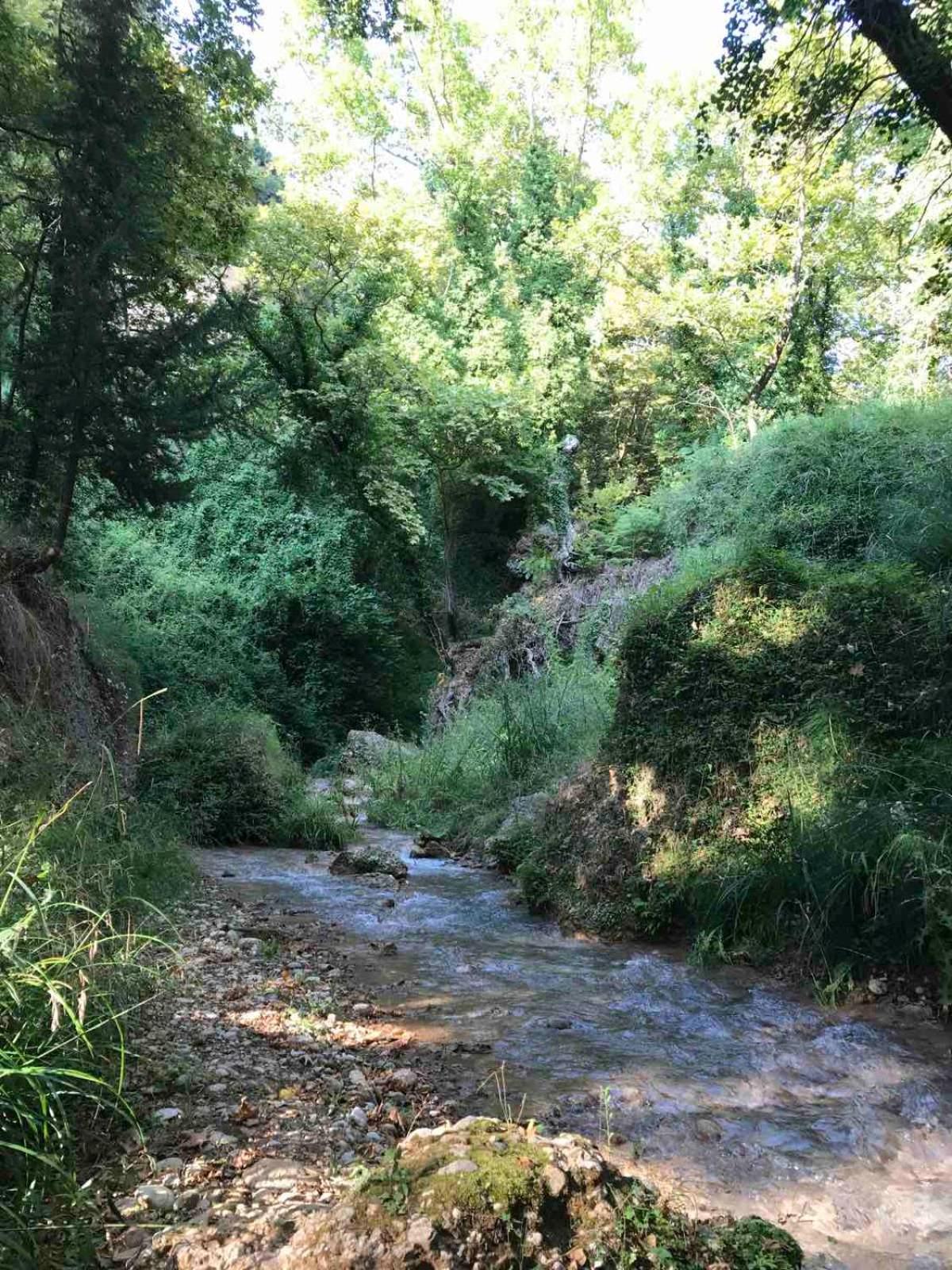 Vians Olympia Resort