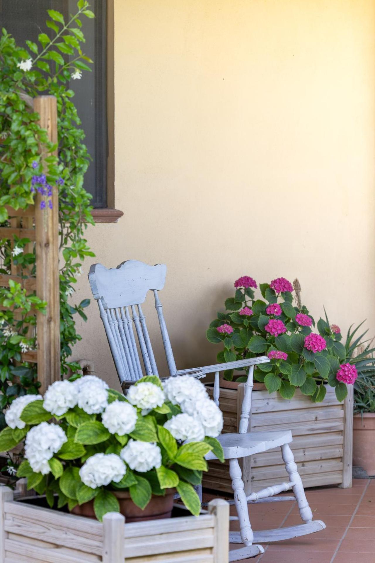 I Girasoli di Lari - Bilocale La Margherita