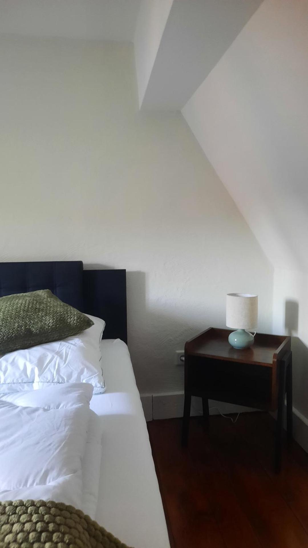 Altstadthäuschen mit charm , nähe Heidelberg castle, Neckarufer