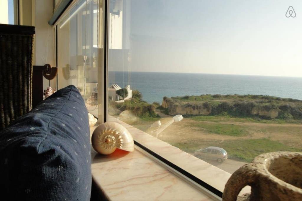 Casa dos Peixes e Mar