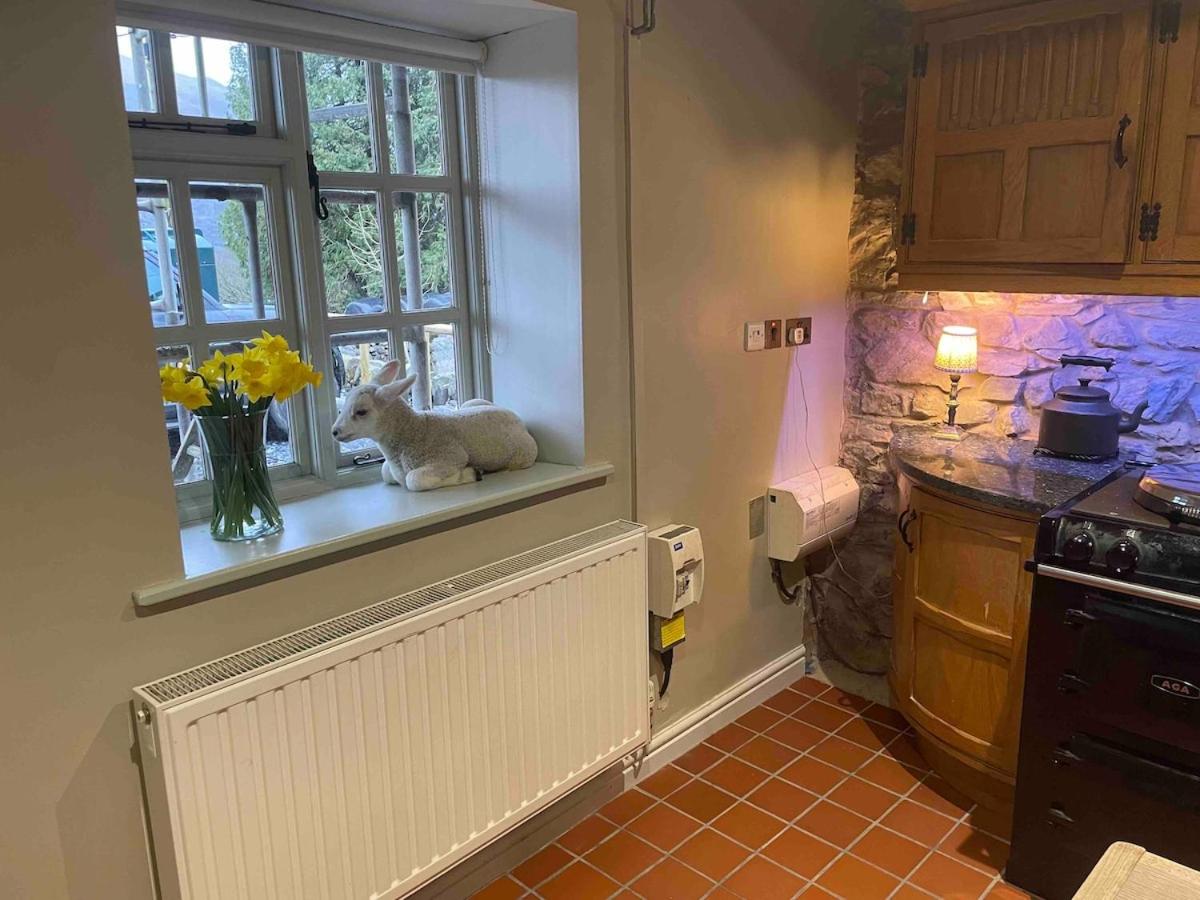 Snowdon Cottage Llanberis Tucked Away In The Mountains Of Snowdonia