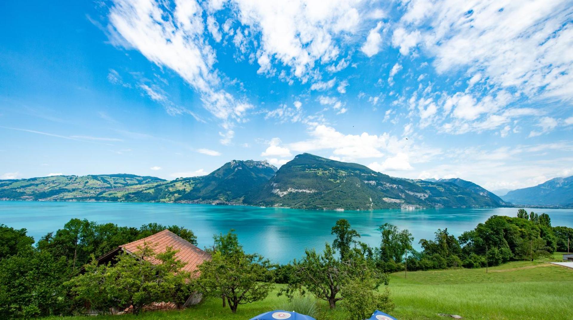 View (from property/room)