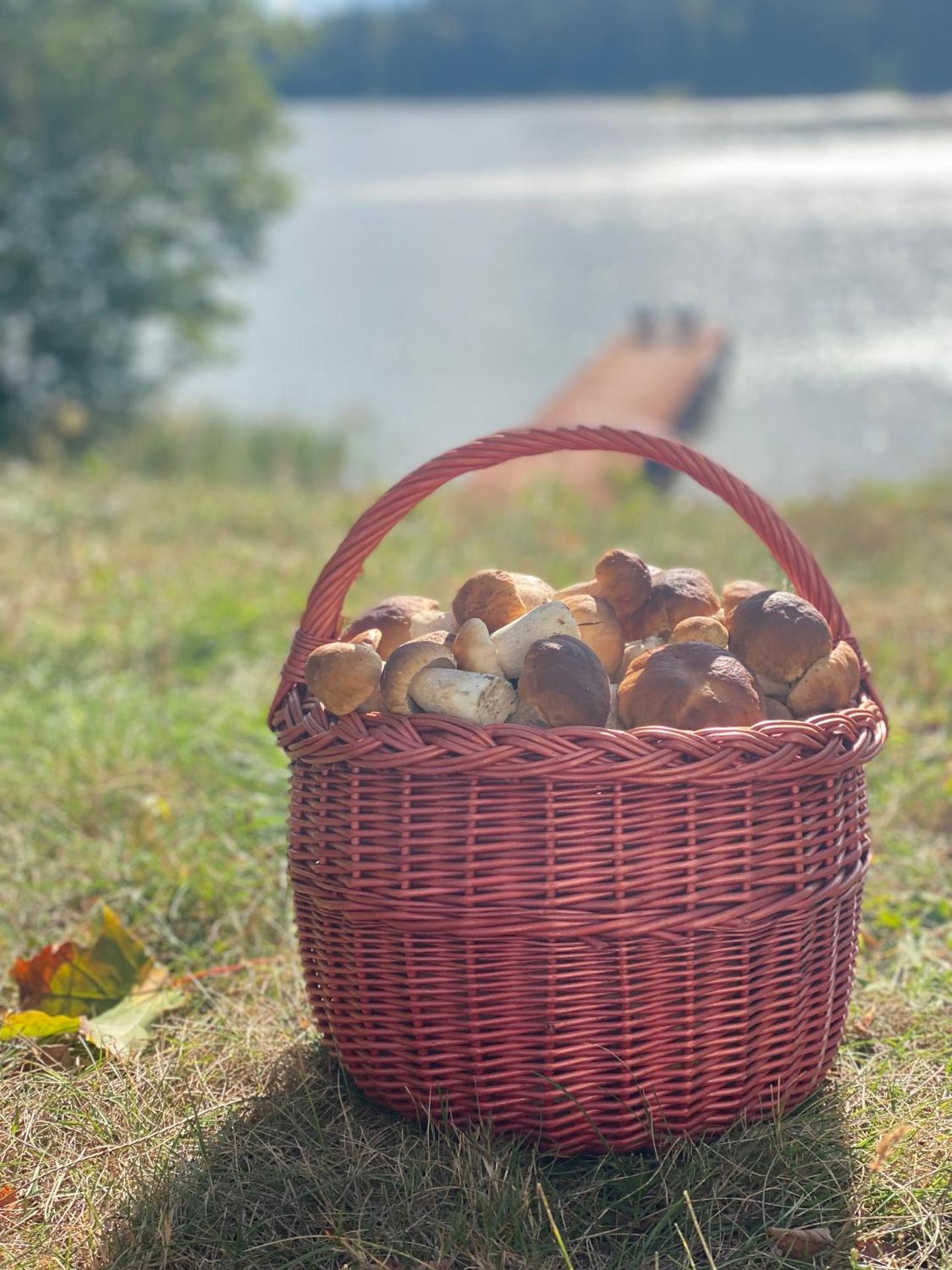 Leśniczówka Szeroki Bór