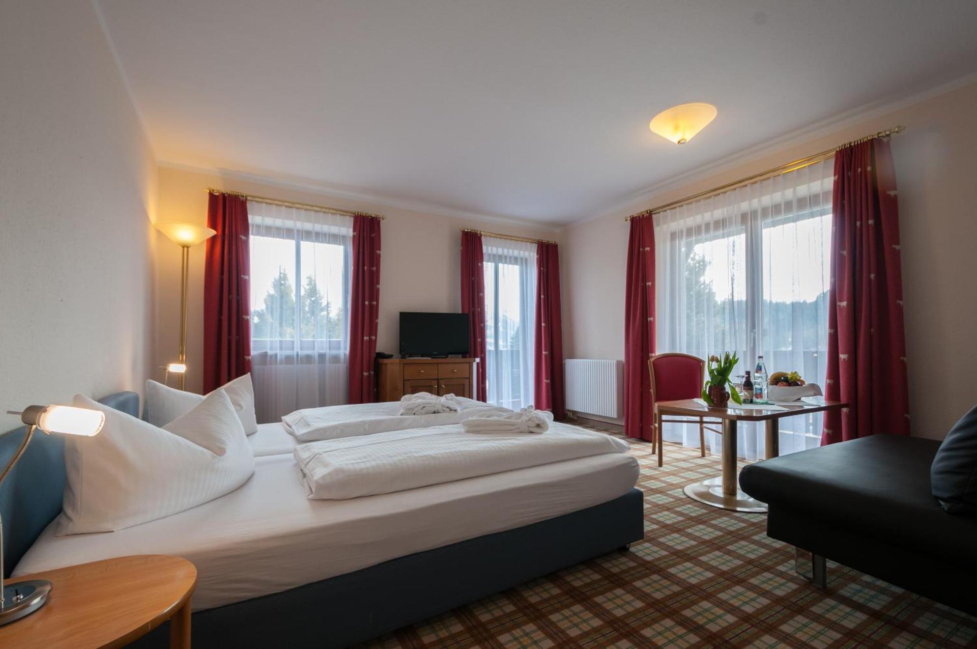 Standard Double Room with Mountain View